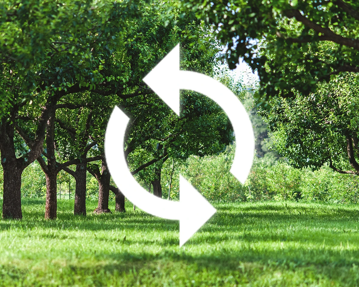 energy reduction and recycling