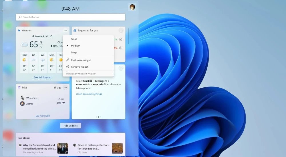 widgets panel